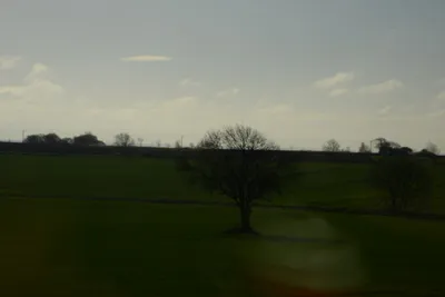 DSC_7183 (Large).JPG